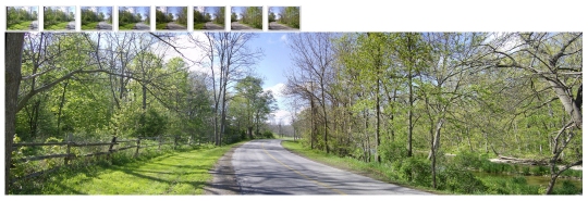 Stitched Photo Sample 3